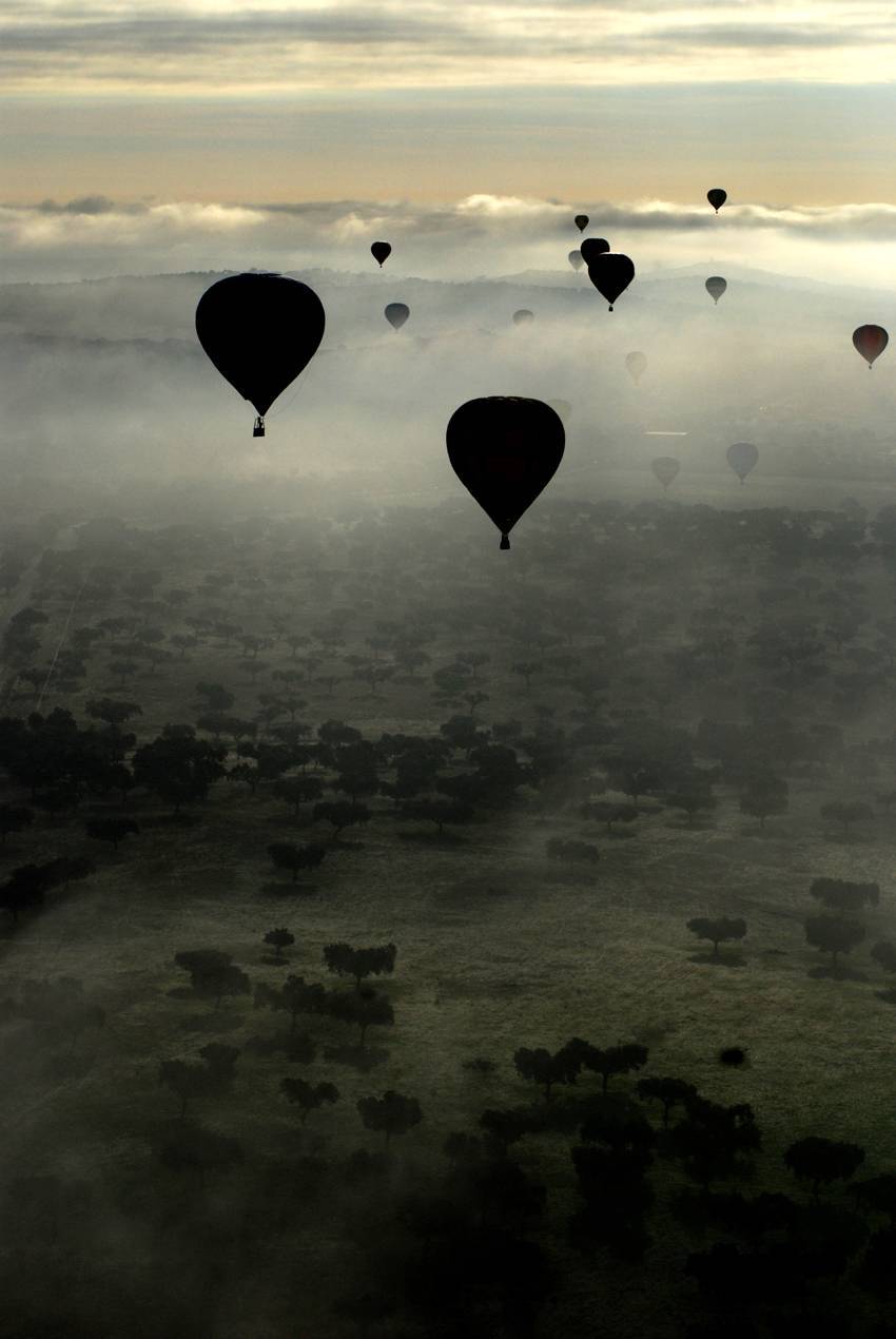 La niebla nos impediría ver obstáculos a la hora de aterrizar. Solo se despegaría si tenemos la seguridad de salir de la zona de niebla.