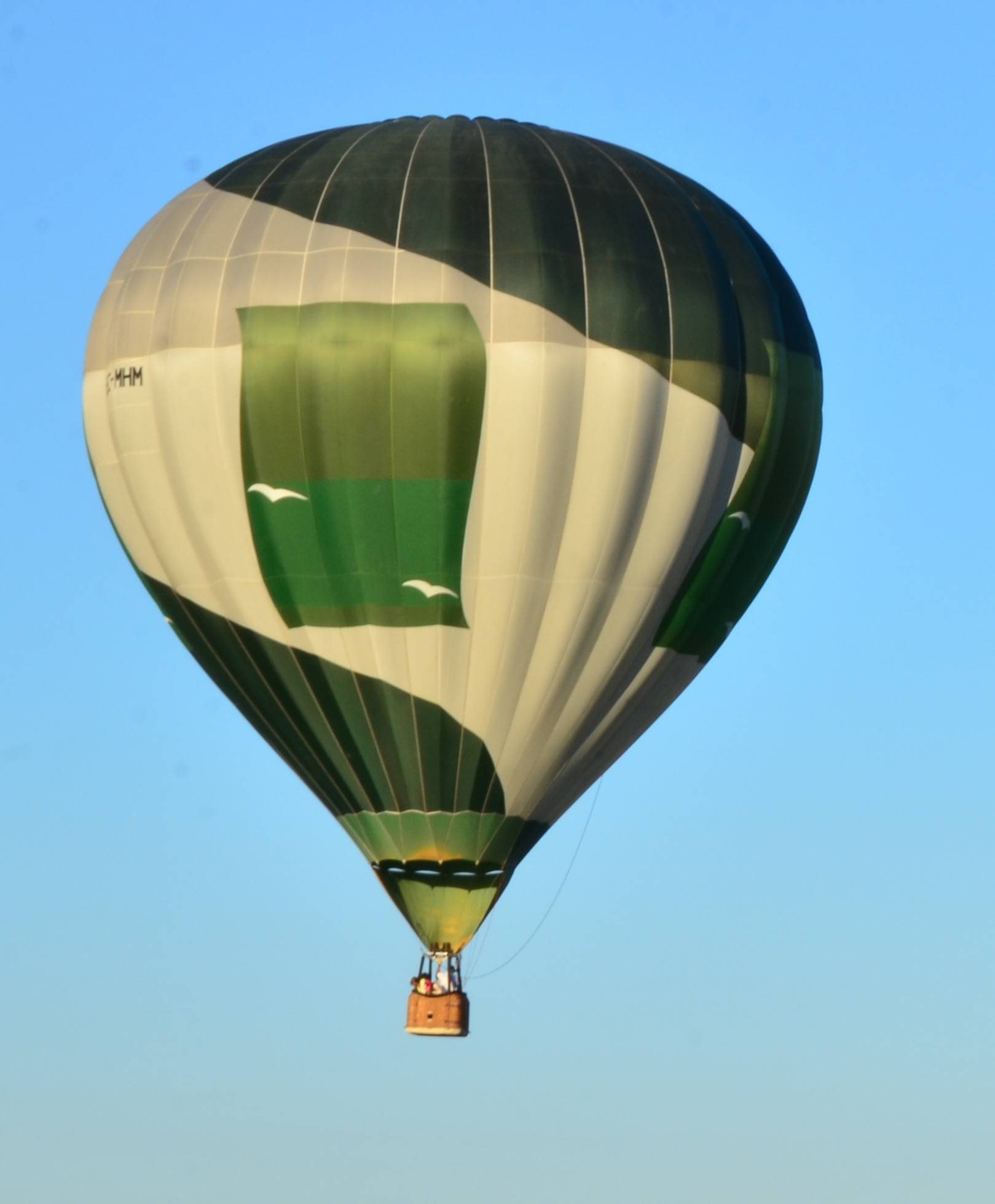 Ayúdanos a ponerle nombre a nuestro globo más viajero...