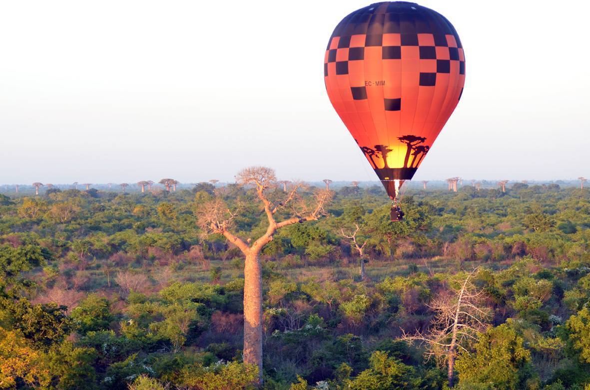 Desde la Avda. de los Baobabs los vuelos en globo han sido mágicos.