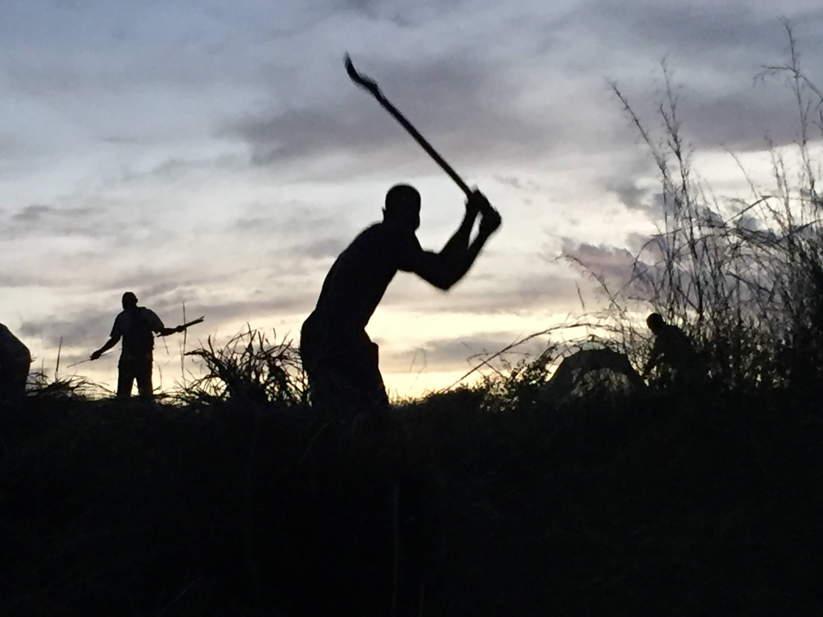 Desbrozando el campo de despegue.