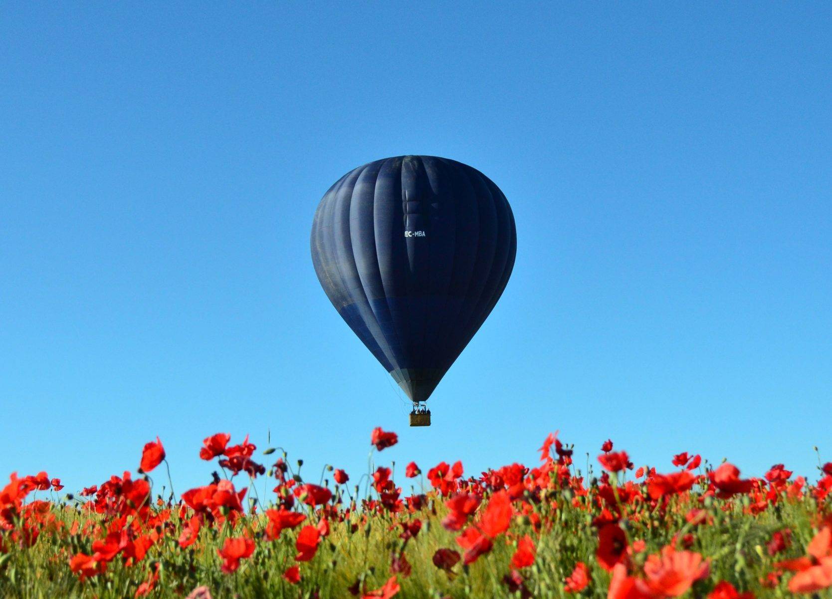 PASEOS EN GLOBO