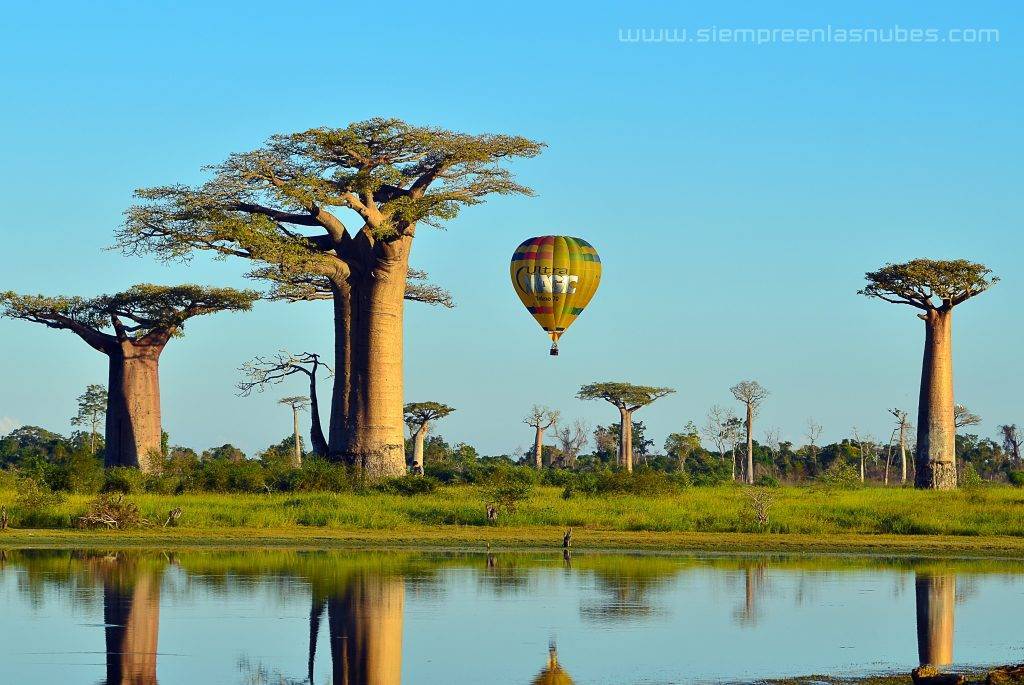 Madagascar Ultramagic Experience Avenida de los Baobabs, Morondava, Madagascar