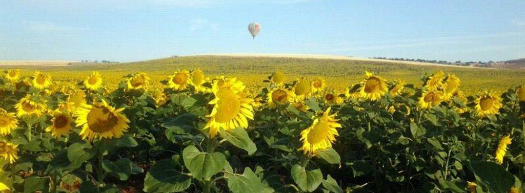 Excursión en globo en Salamanca