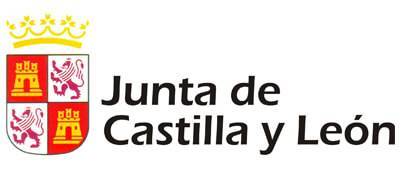 La Junta de Castilla y León apoya el Festival Accesible de Globos de Segovia