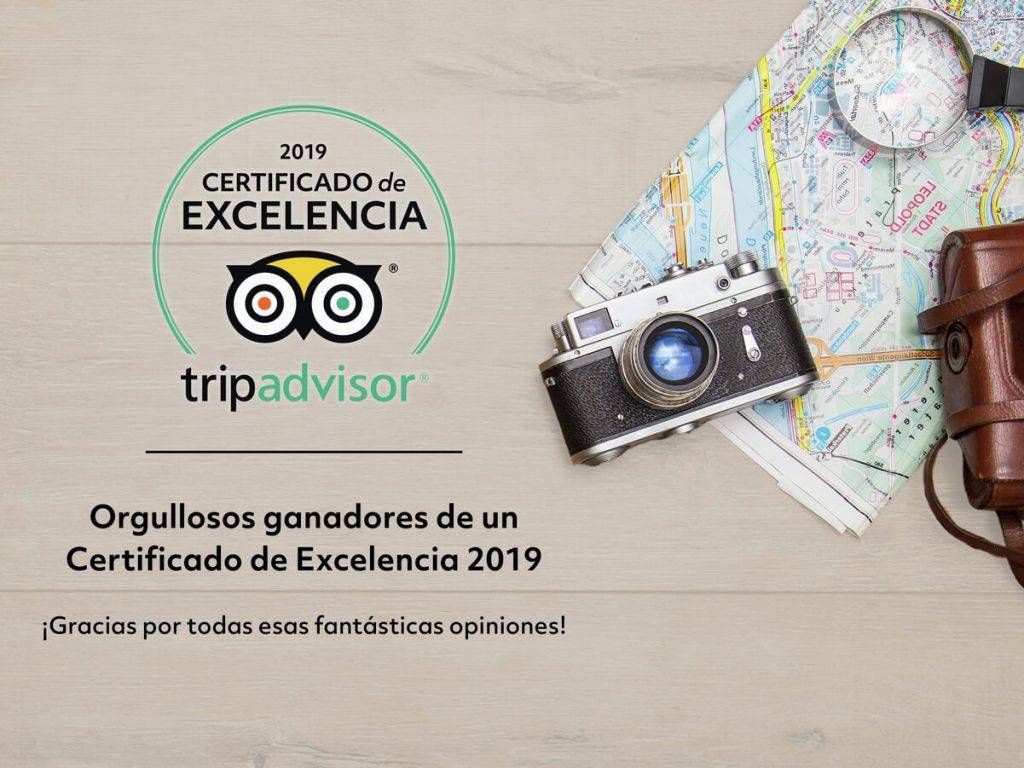 experiencia excelente experiencia excelente