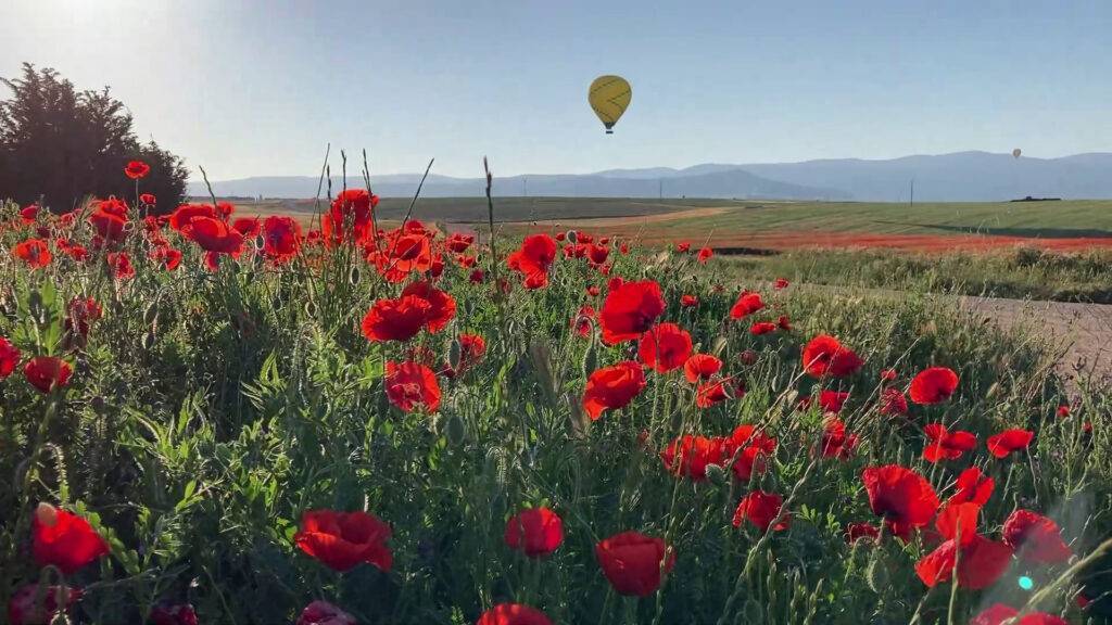 Volar en globo Segovia 29-05-2021