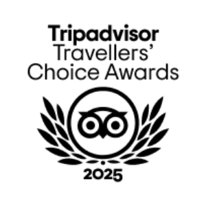 Paseos en Globo en primera clase